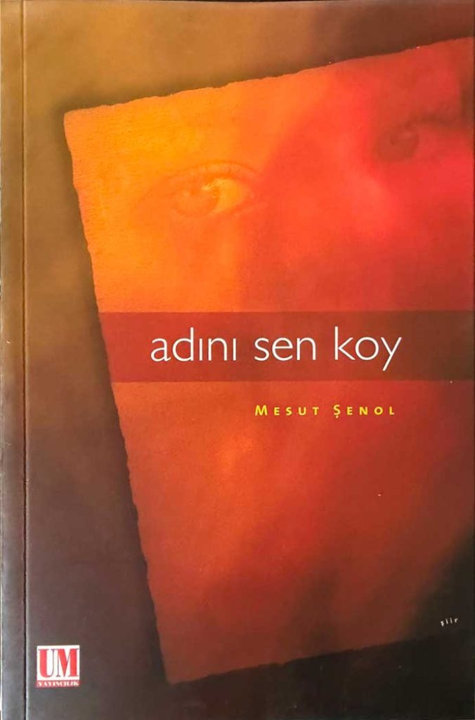 adını sen koy